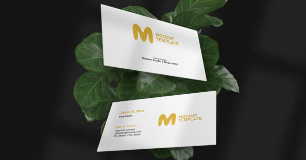 Free Luxury Floating Business Card Mockup